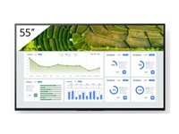 Sony Bravia Professional Displays FW-55BZ30L - 55" Diagonaaliluokka BZ30L Series LED-taustavalaistu LCD-näyttö - digital signage -ratkaisu - Android TV - 4K UHD (2160p) 3840 x 2160 - HDR - Direct LED FW-55BZ30L